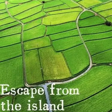 Escape from the island for Android/iOS - TapTap