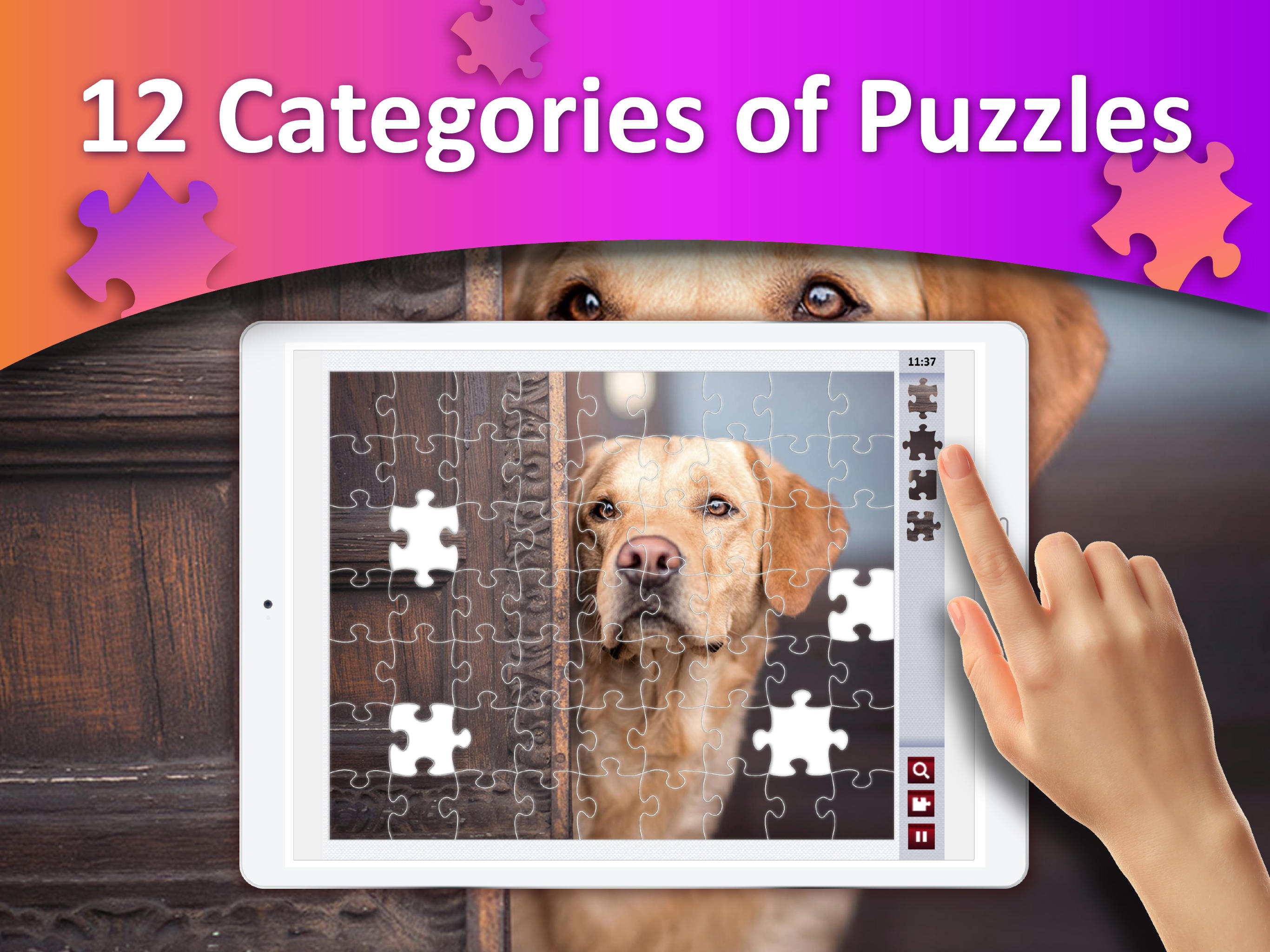 Jigsaw Puzzles Collection HD Game Screenshot