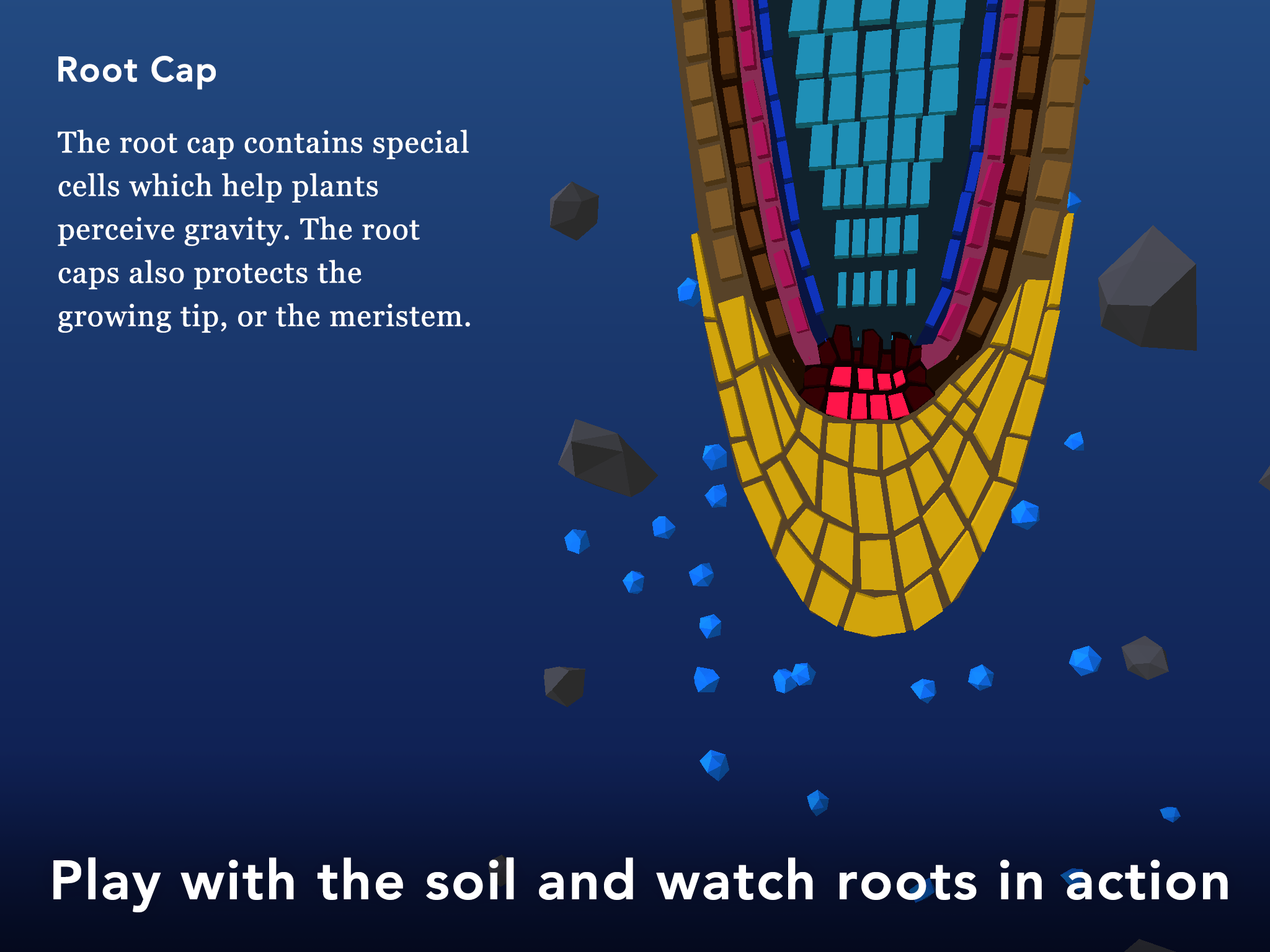 NAMOO - Wonders of Plant Life ภาพหน้าจอเกม
