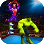 Icon of Superhero Wrestling Battle Arena Ring Fighting
