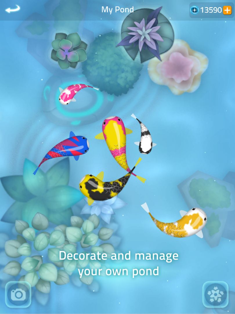 Zen Koi 2 screenshot game