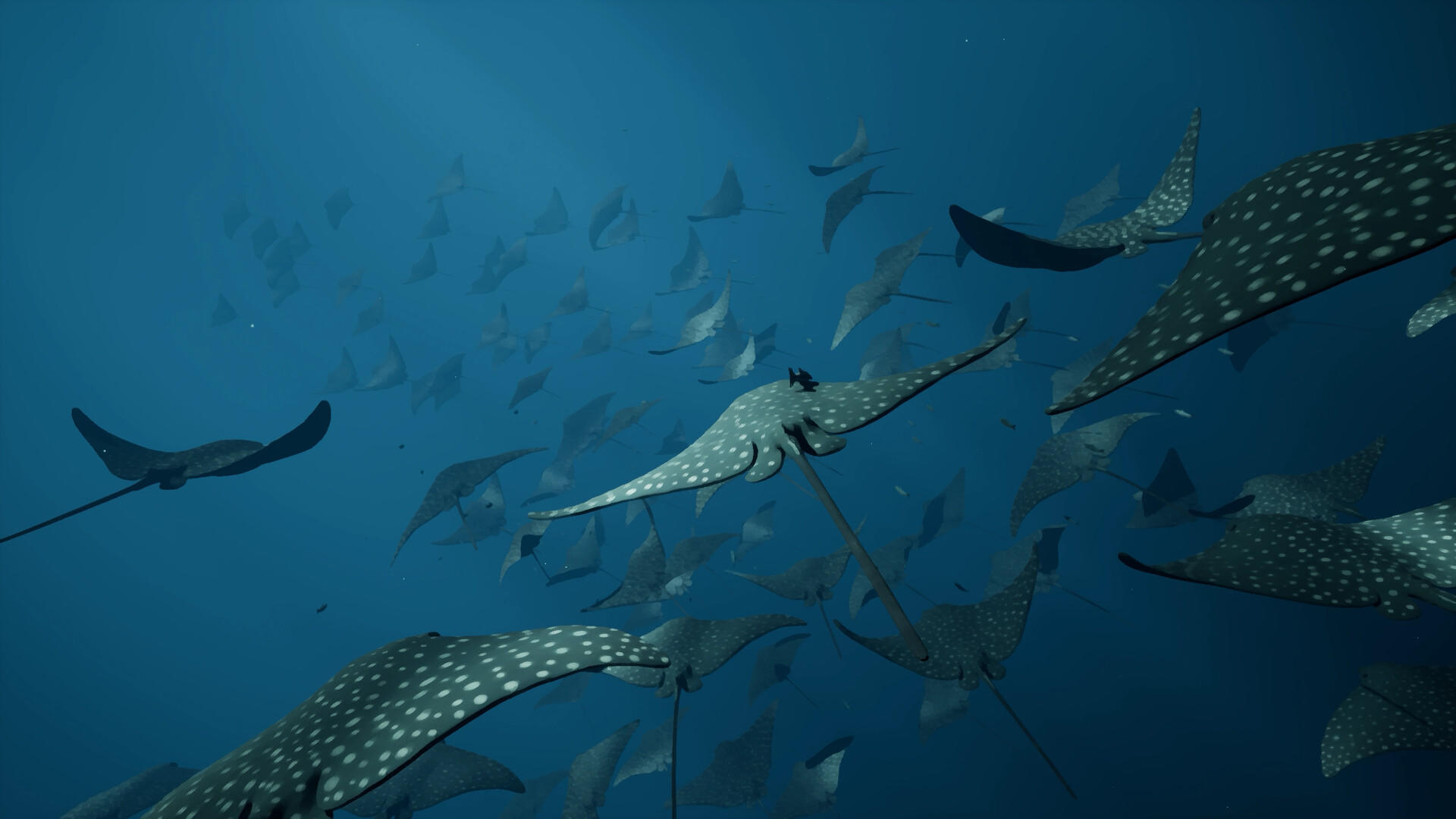 Screenshot of Whale Fall