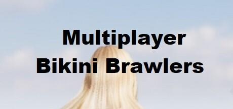 Banner of Multiplayer Bikini Brawlers 