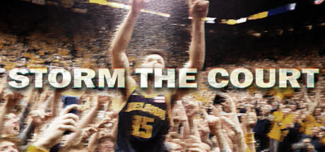 Banner of Storm The Court 