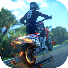 Wild Moto Racing