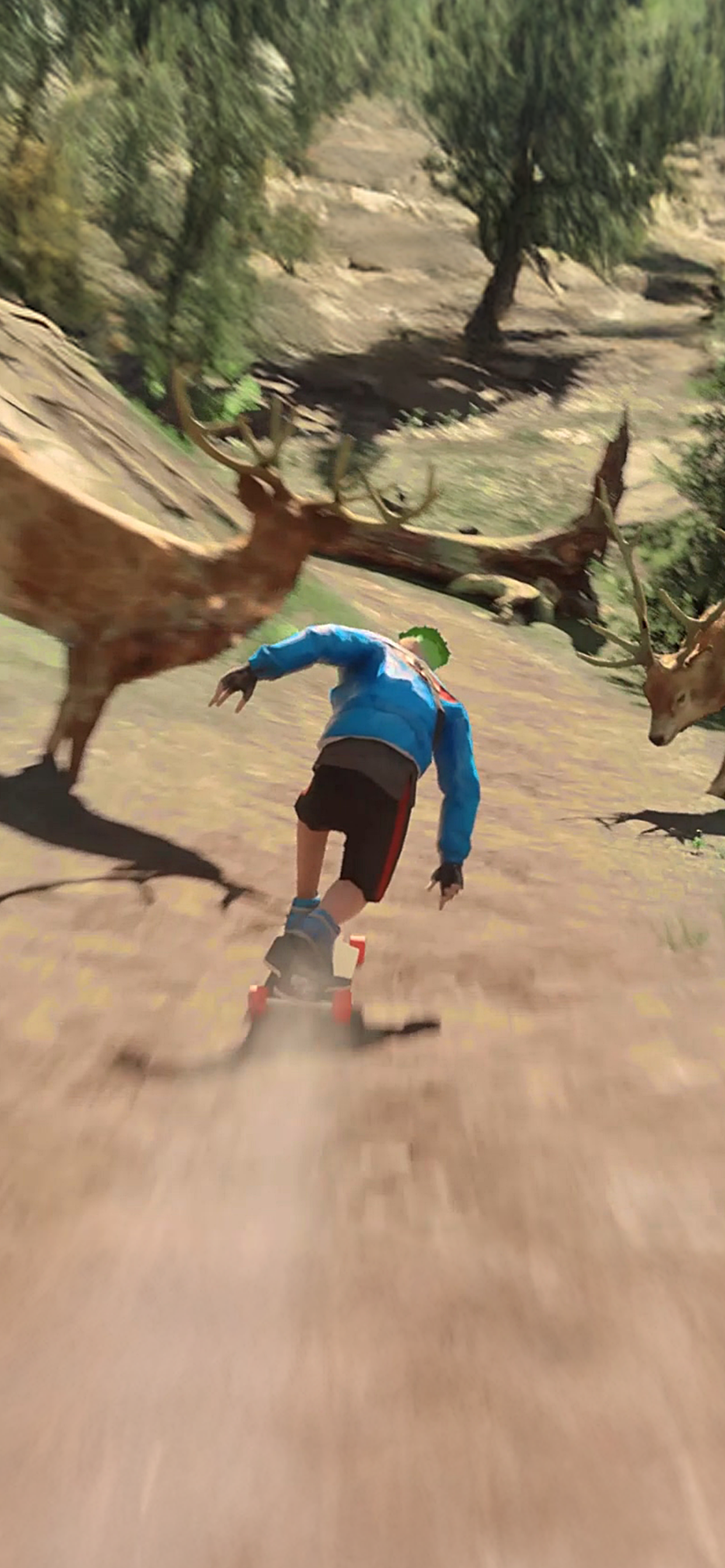 Downhill Racer Game Screenshot