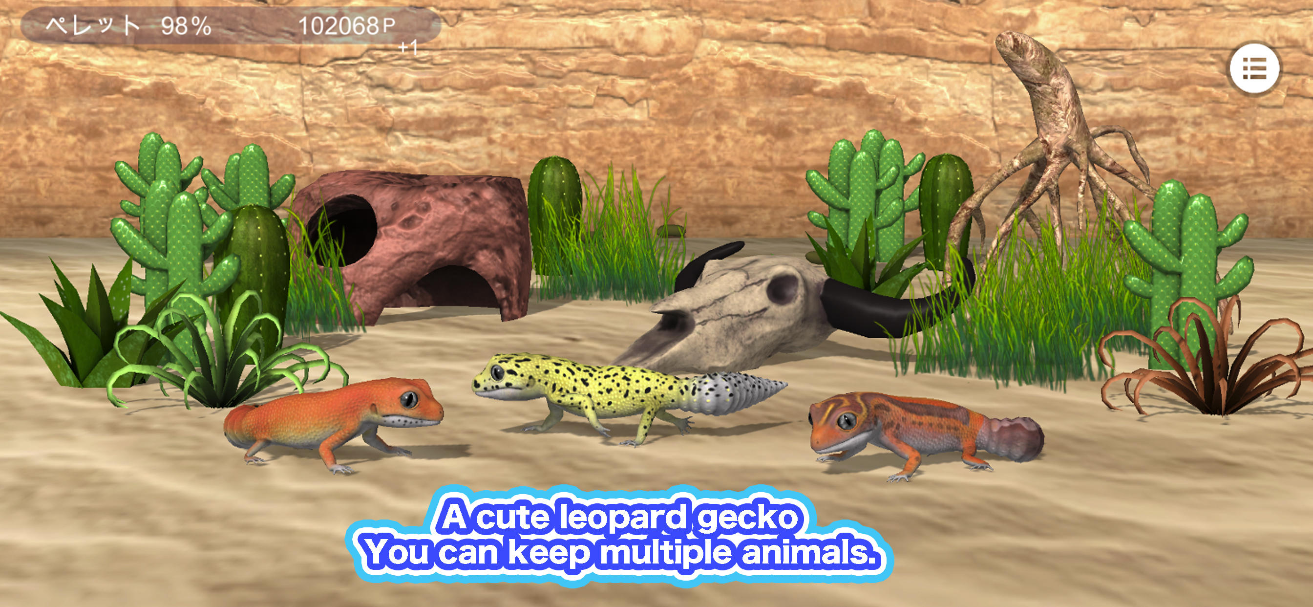 My leopard gecko Game Screenshot