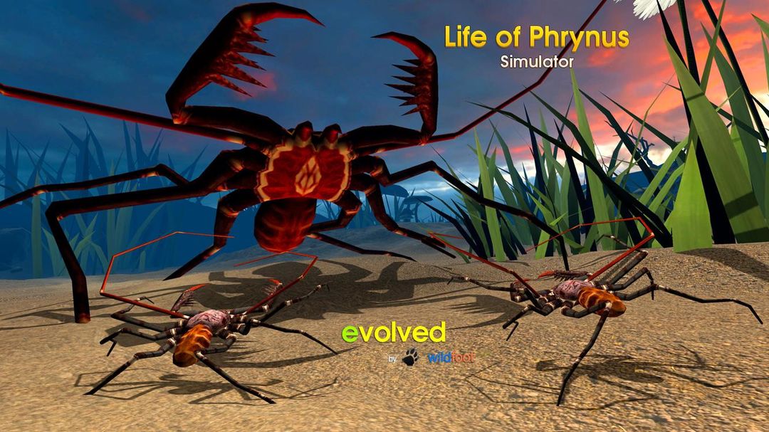 Life of Phrynus - Whip Spider ภาพหน้าจอเกม
