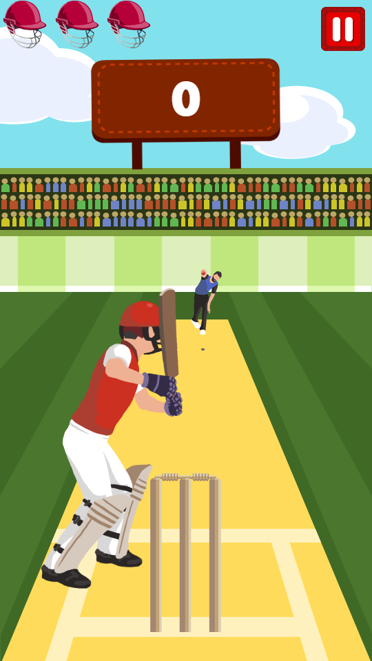 Pro Cricket Champion Game Screenshot