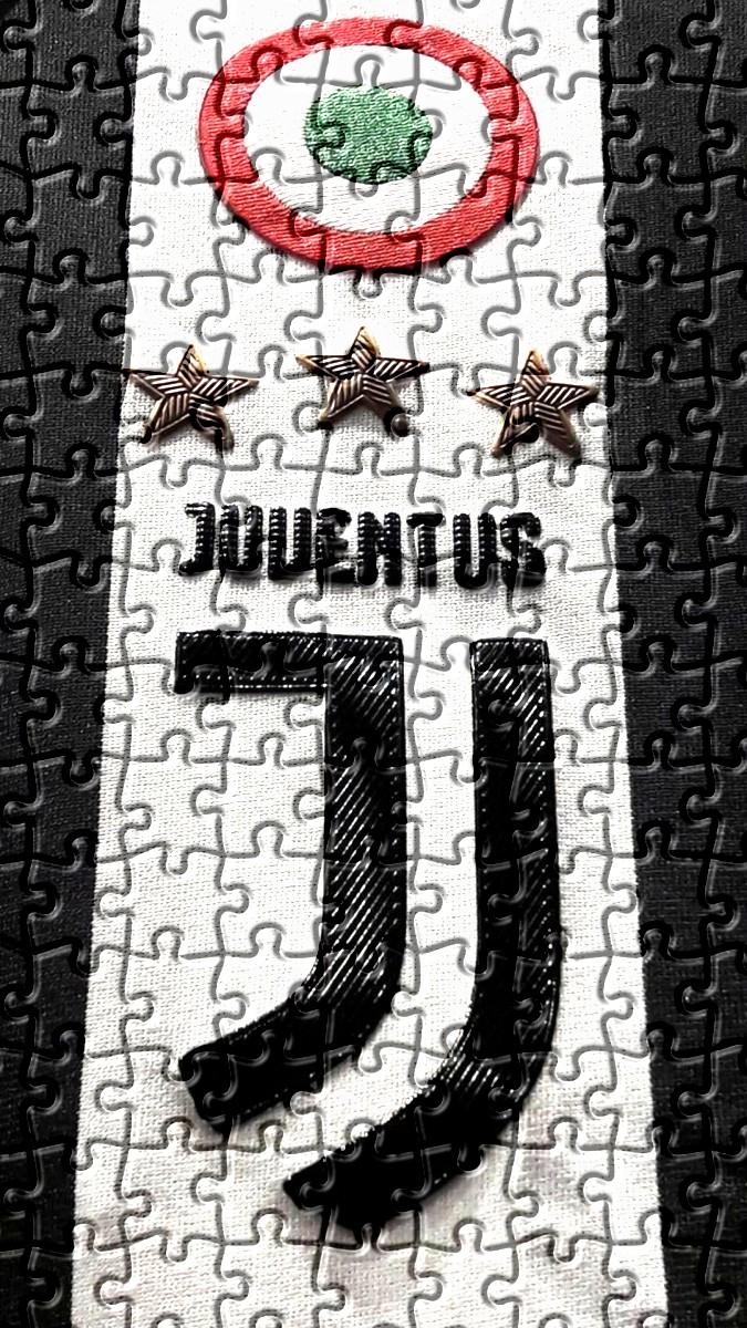 Juventus FC Turin painting Jigsaw Puzzle