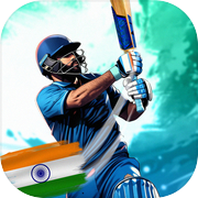 King Of Cricket Games