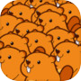 Beaver Run