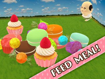 Raising Ojipockle Game Screenshot