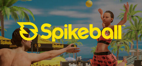 Banner of Spikeball 