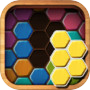 Wood Block Puzzle Hexa