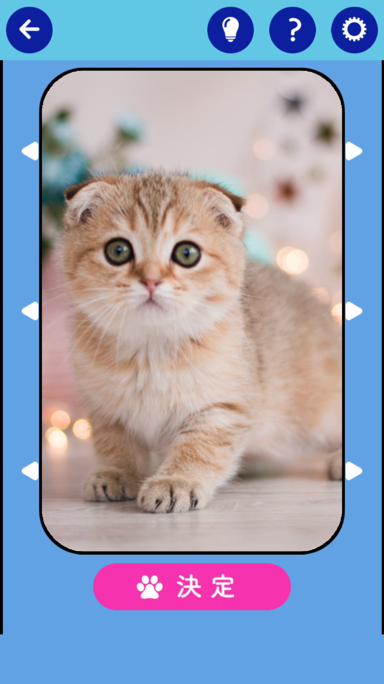 そろえて！にゃんにゃんクイズ Game Screenshot