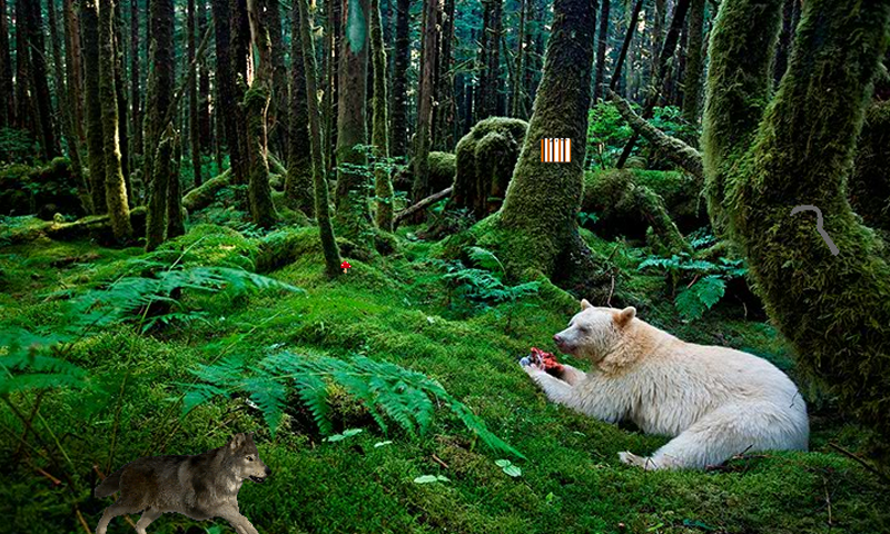 Tropical Woods Escape Game Screenshot
