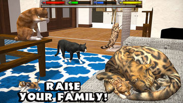 Скриншот игры Ultimate Cat Simulator