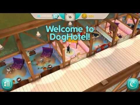 Screenshot of the video of Dog Hotel – Play with dogs
