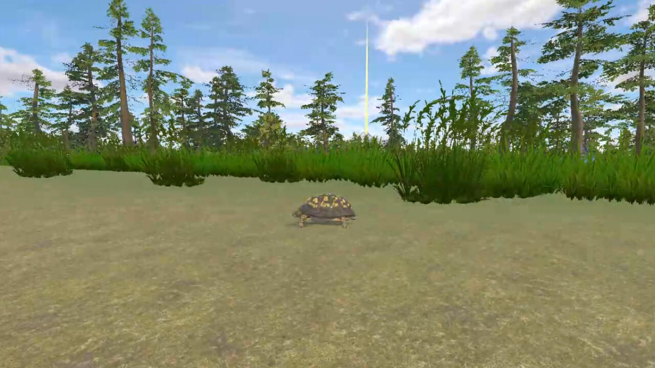 Rabbit and Turtle screenshot game