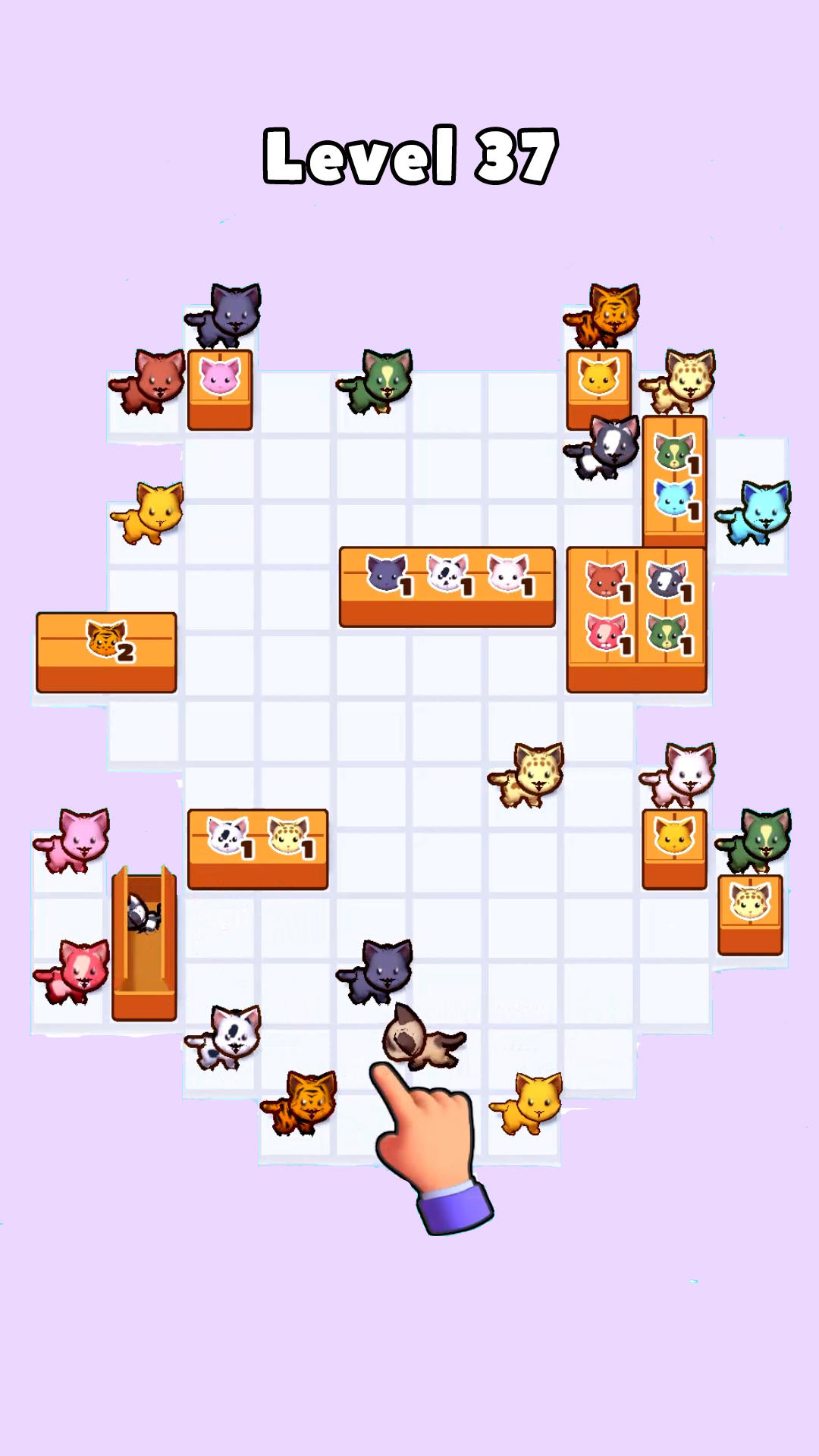 Pack the Cats 遊戲截圖