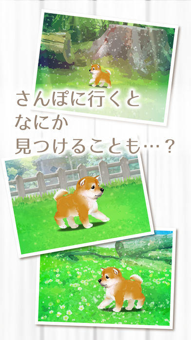 My Dog Life -Japanese Shiba Inu Edition- Game Screenshot