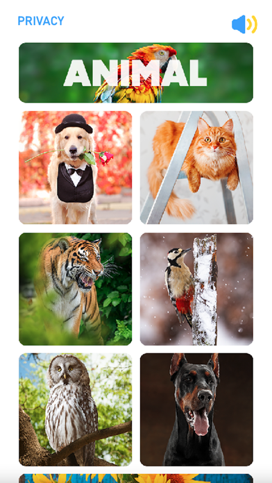 Antistress Jigsaw Puzzle ภาพหน้าจอเกม