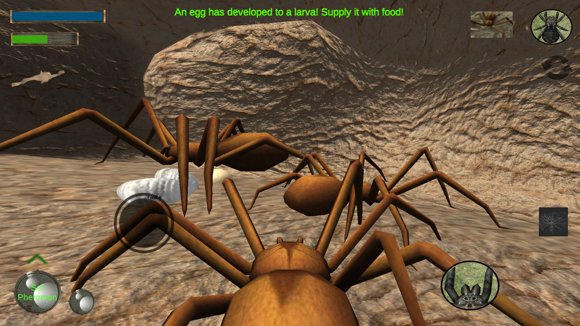Spider Nest Simulator - insect and 3d animal gameのキャプチャ