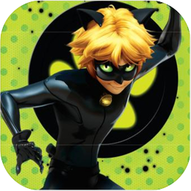 Cat noir Miraculous 🐱