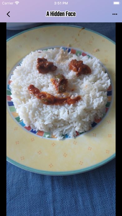 PicPursuit! Game Screenshot