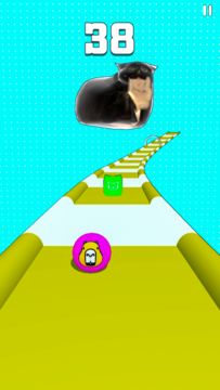 MAXWELL CAPYBARA SHIBA INU Game Screenshot
