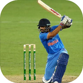 Real World Cricket Cup Games