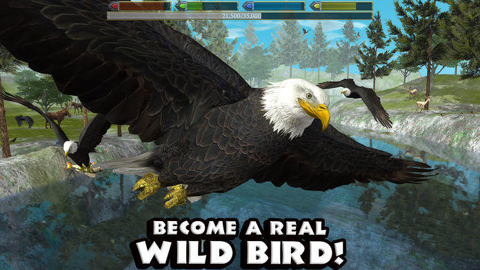 Screenshot 1 of Ultimativer Vogelsimulator 