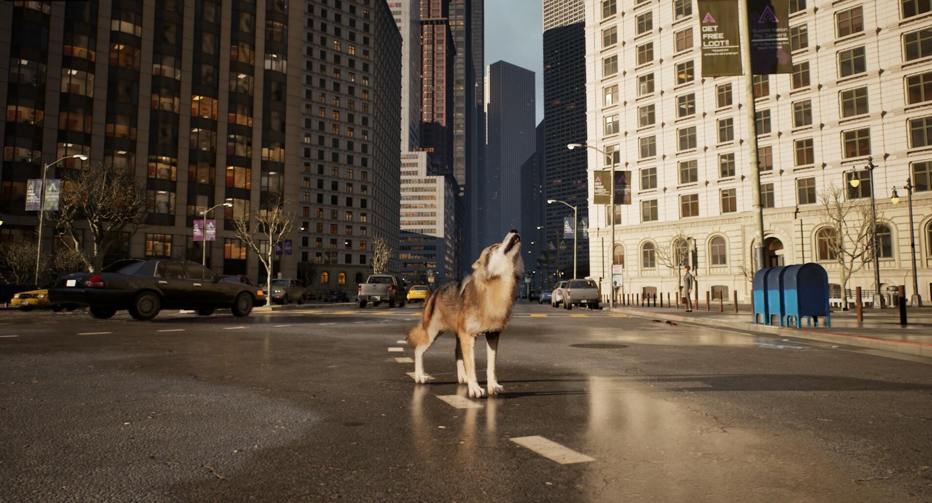 WOLF IN THE CITY Game Screenshot