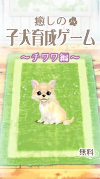 癒しの子犬育成ゲーム〜チワワ編〜 게임 스크린샷