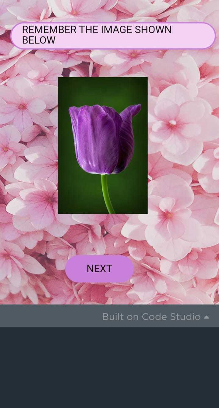 Choose the correct sequence Game Screenshot