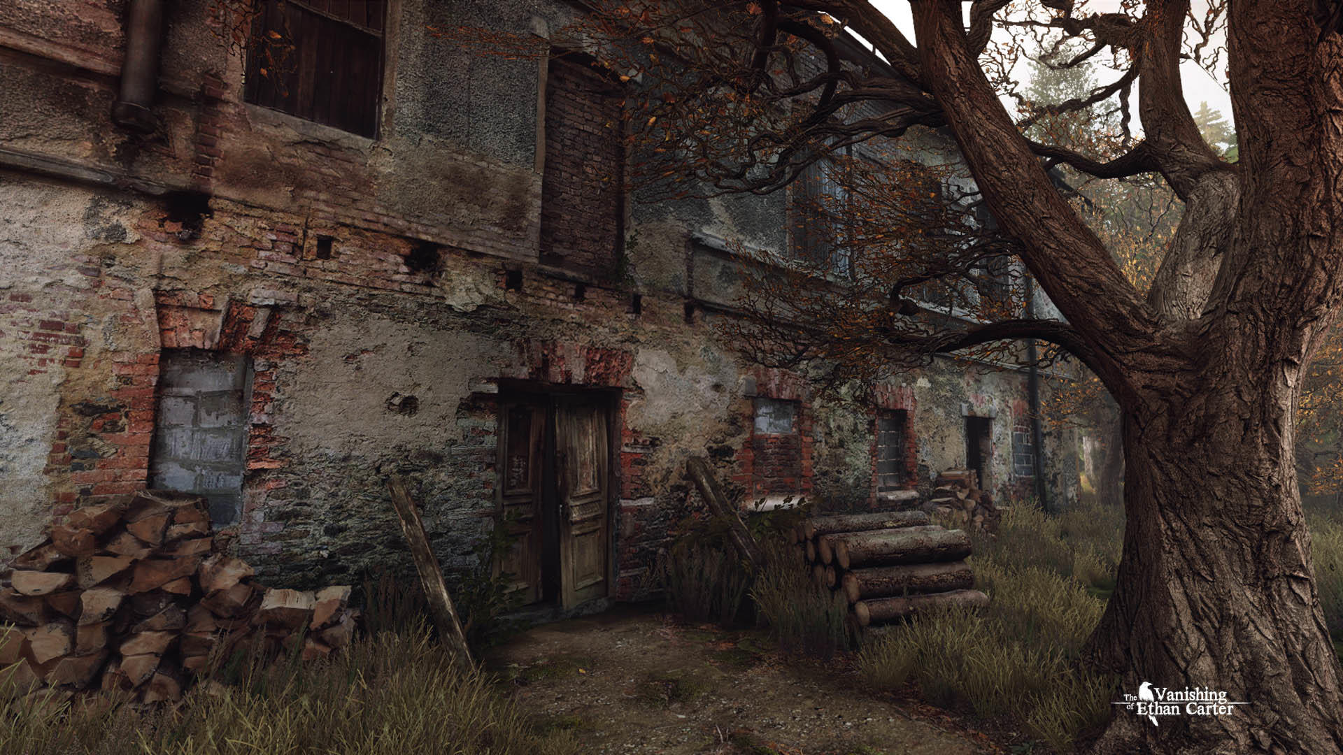 Screenshot 2 of The Vanishing of Ethan Carter 