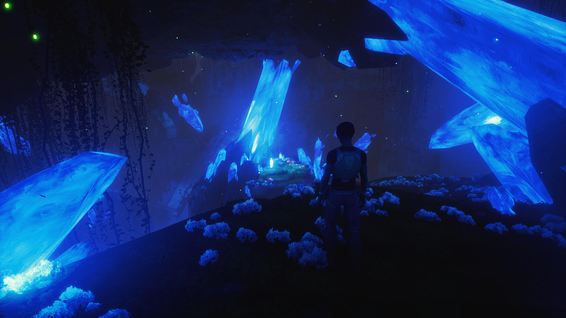 Screenshot of Wild Life