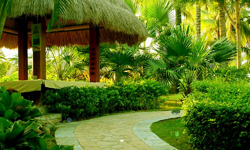 Charming Lawn Escape Game Screenshot