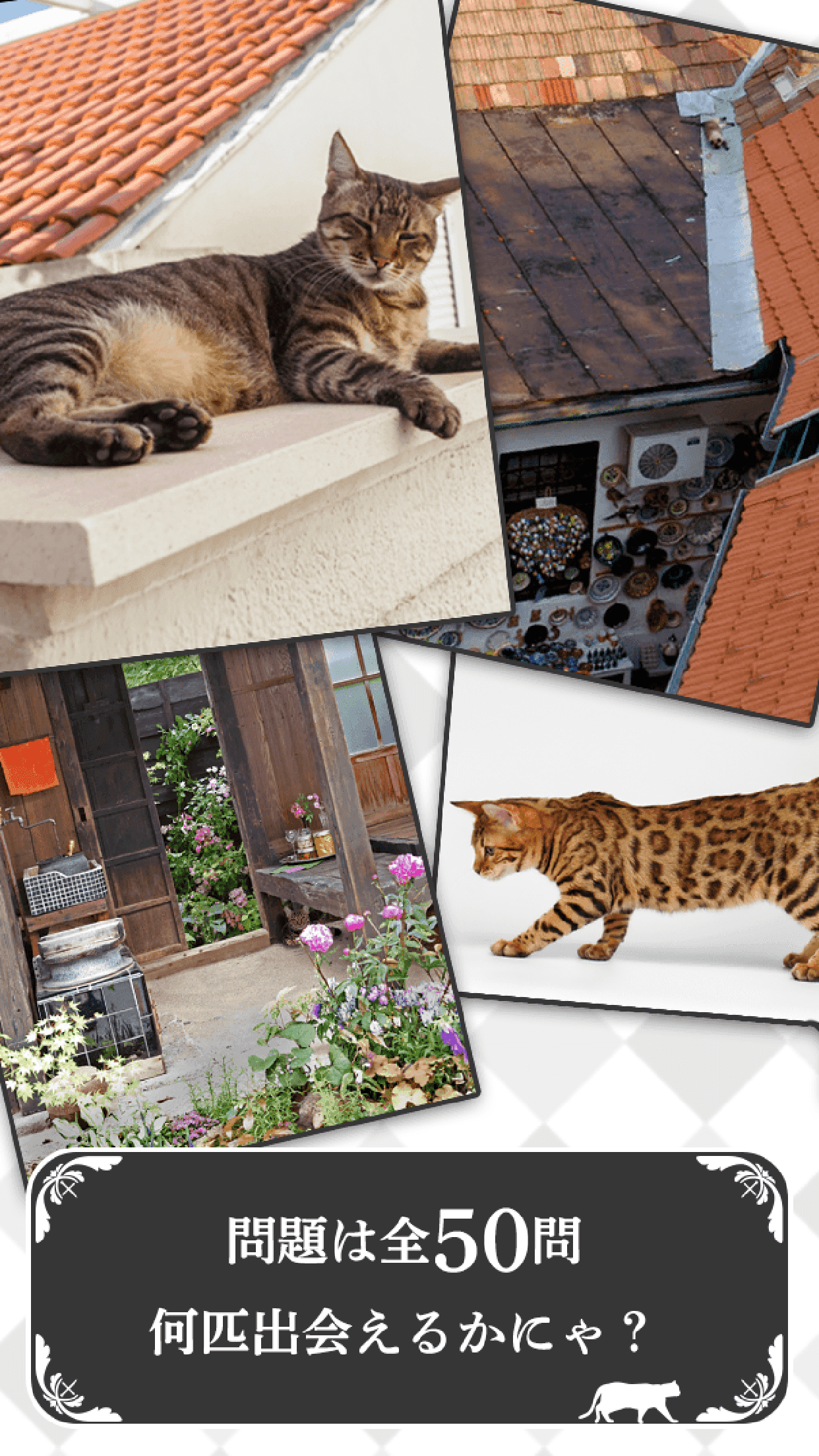 【簡単】にゃんこアハ体験【アハ!】 Game Screenshot