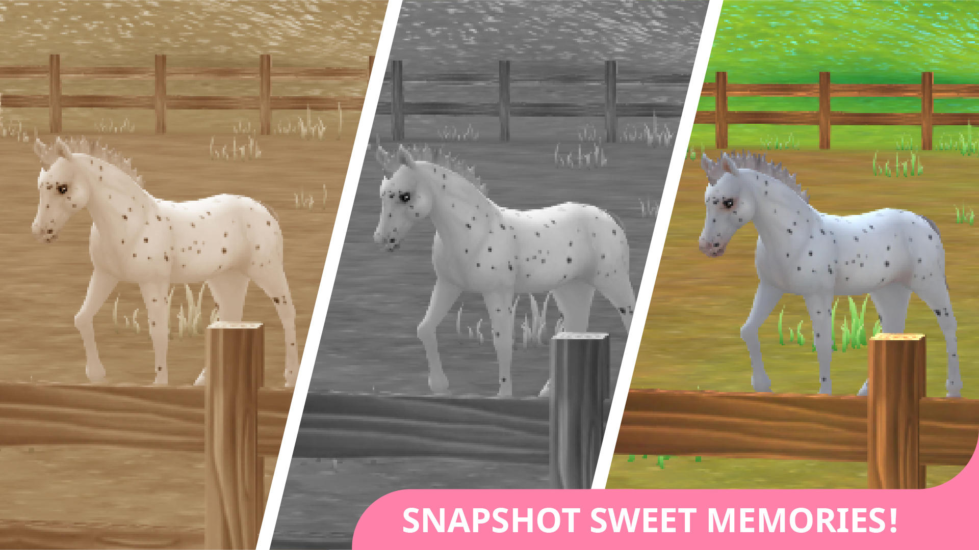 Star Stable Horses Game Screenshot