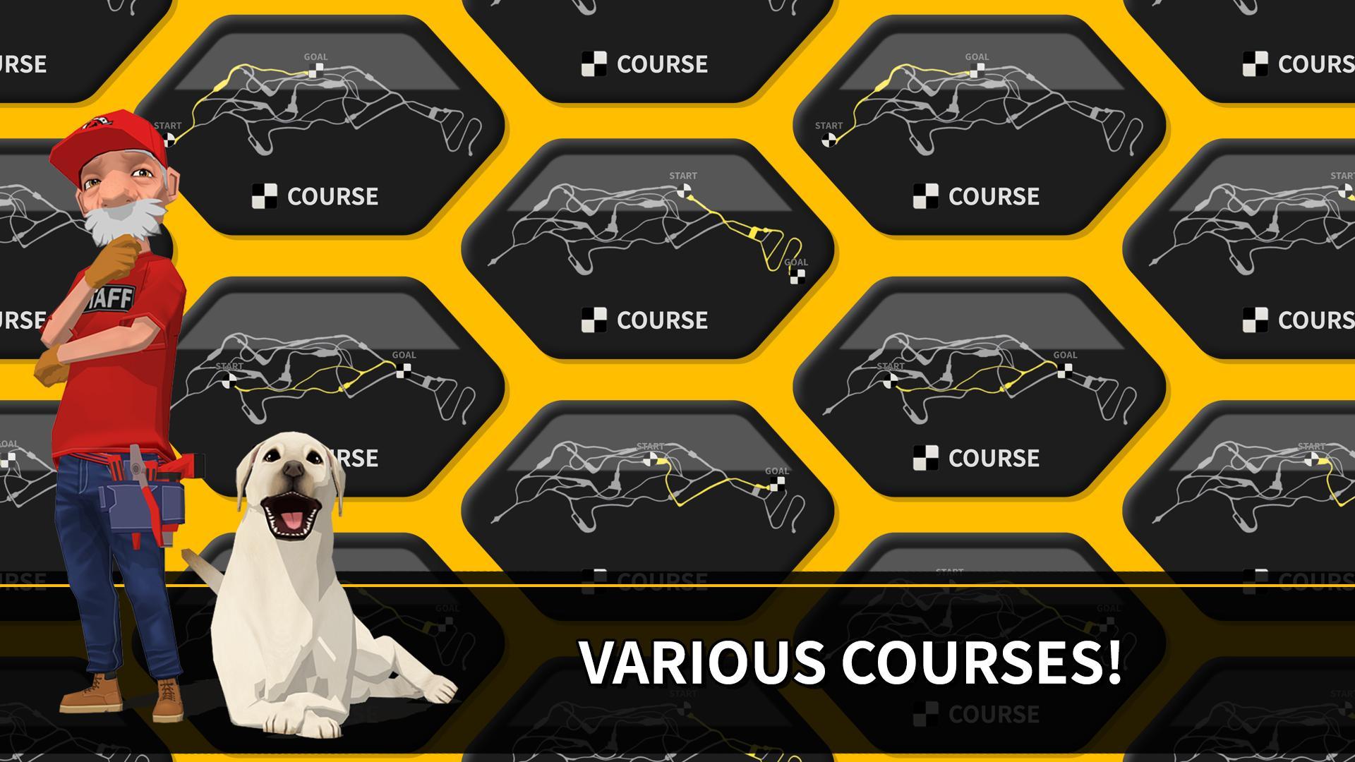 Скриншот игры Downhill Masters