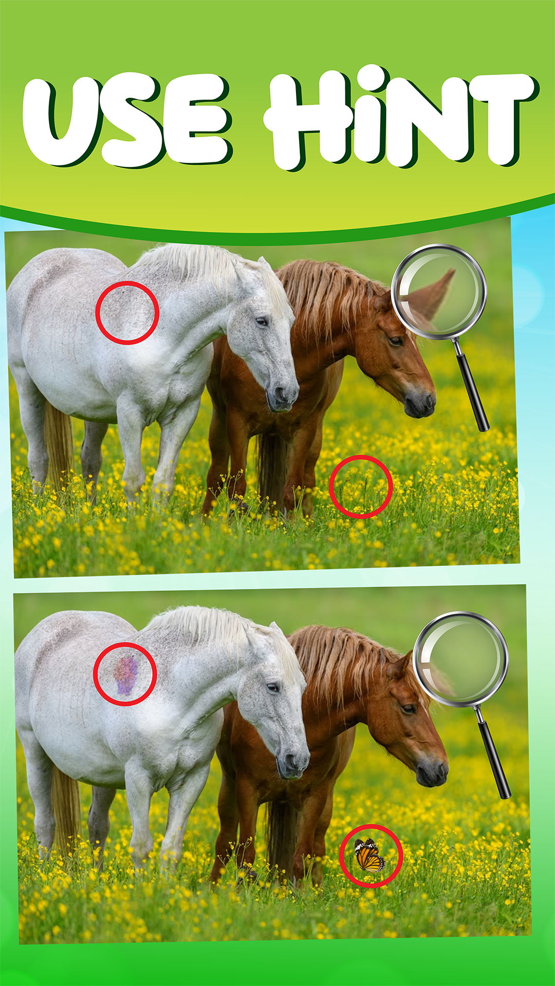 Spot the Differences : Find It Game Screenshot