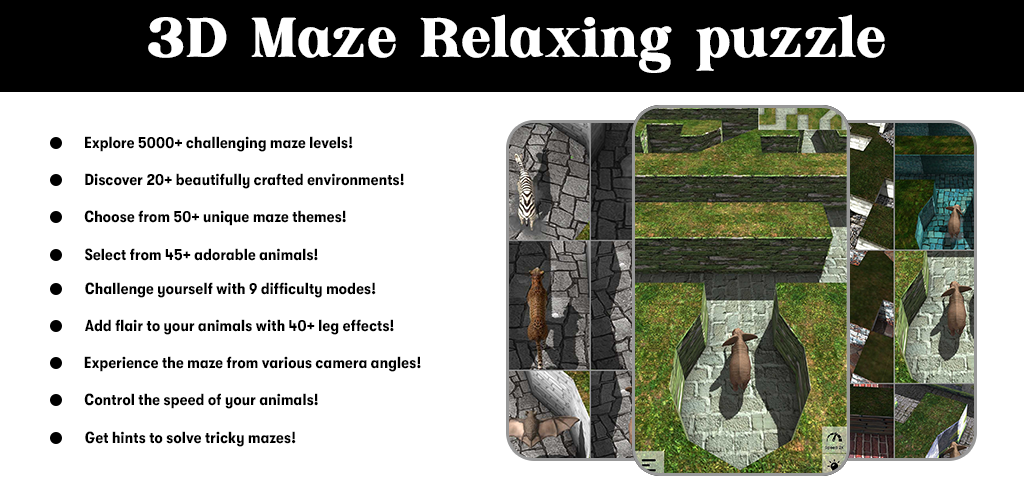 Banner of 3D Maze - Relaxing Puzzle 0.8