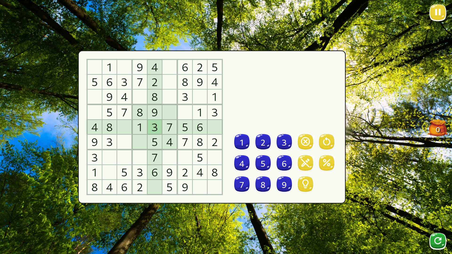 Sudoku Game Screenshot