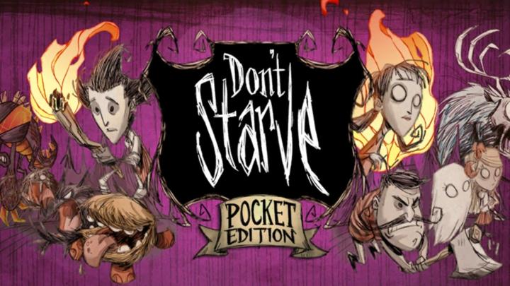 Banner of Don't Starve: Pocket Edition 