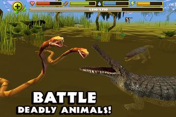 Wildlife Simulator: Crocodile 게임 스크린샷