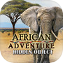 Hidden Object - African Advent