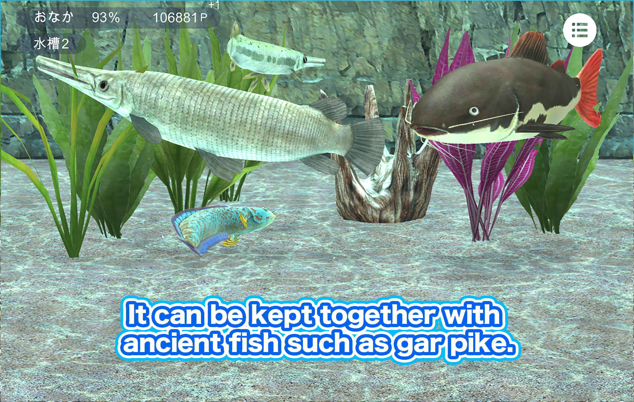 Redtail catfish Aquarium Game Screenshot