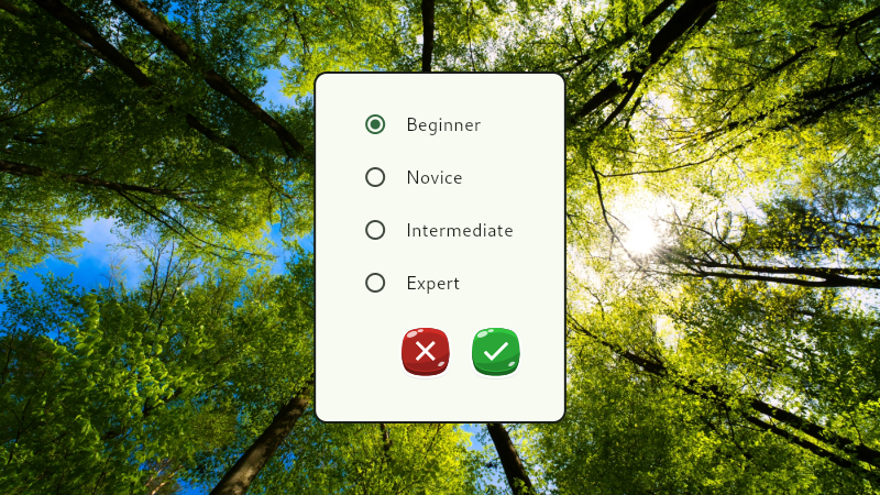 Sudoku Game Screenshot